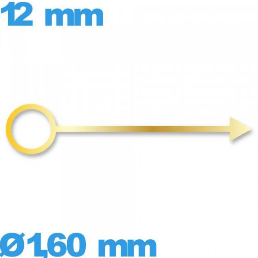 Aiguille doré à l'unité diam : 1,00 mm longueur : 12mm (heure) montre lumineuse nuit