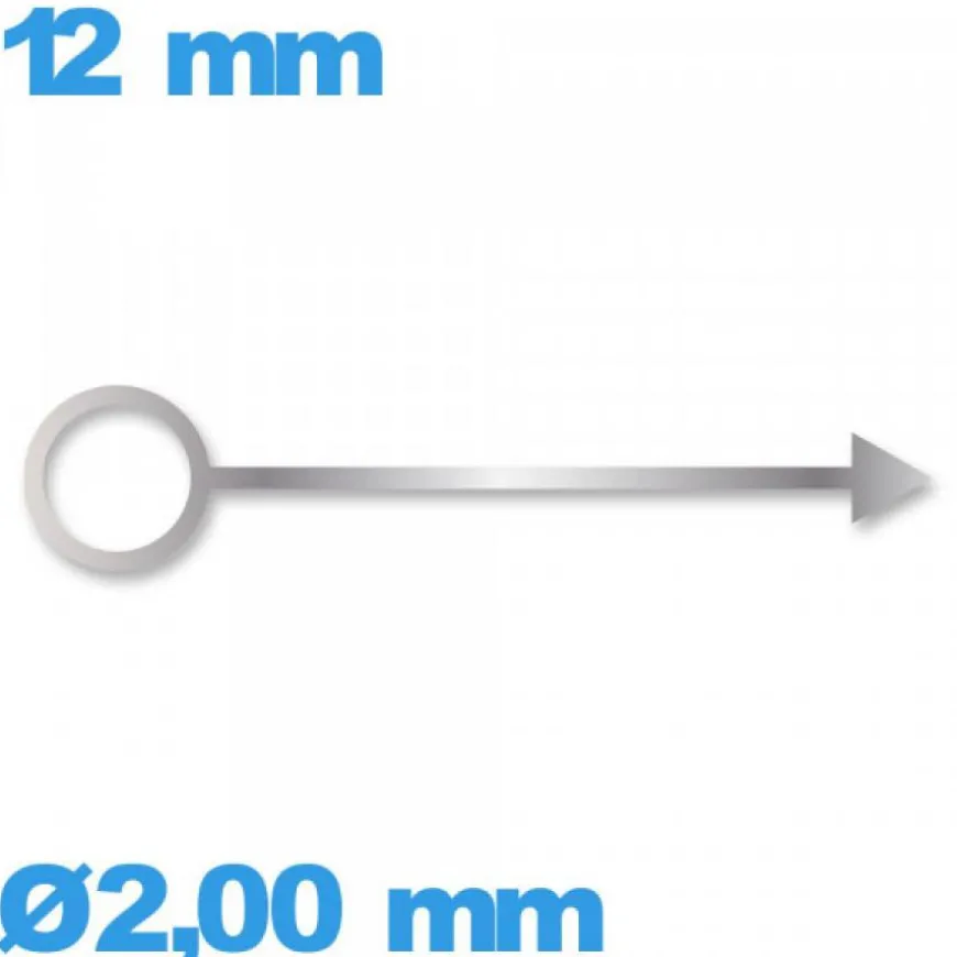 Aiguille Ø2,00 mm long : 12mm lumineuse nuit cadran central des heures argenté mouvement de montre seule