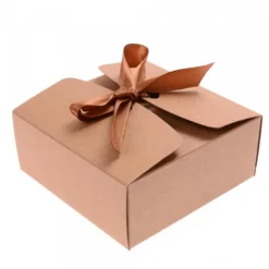 boîte marron carton papier kraft pour le plaisir d'offrir