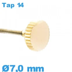Couronne de Remontoir Montre TAP 14 - Doré / 7,0mm