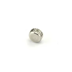 Couronne Montre - Argenté / 5.0*2.5*2.5*0.90 - Waterproof