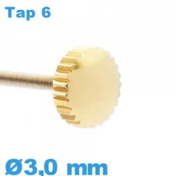 Couronne pour Montre Doré diamètre 3 mm TAP 6