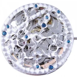 Mouvement de montre chinois 2889 (2196)
