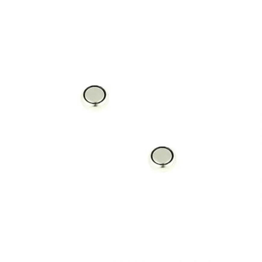 Pack de 2 Batteries montre AG1 1,5 V alcaline