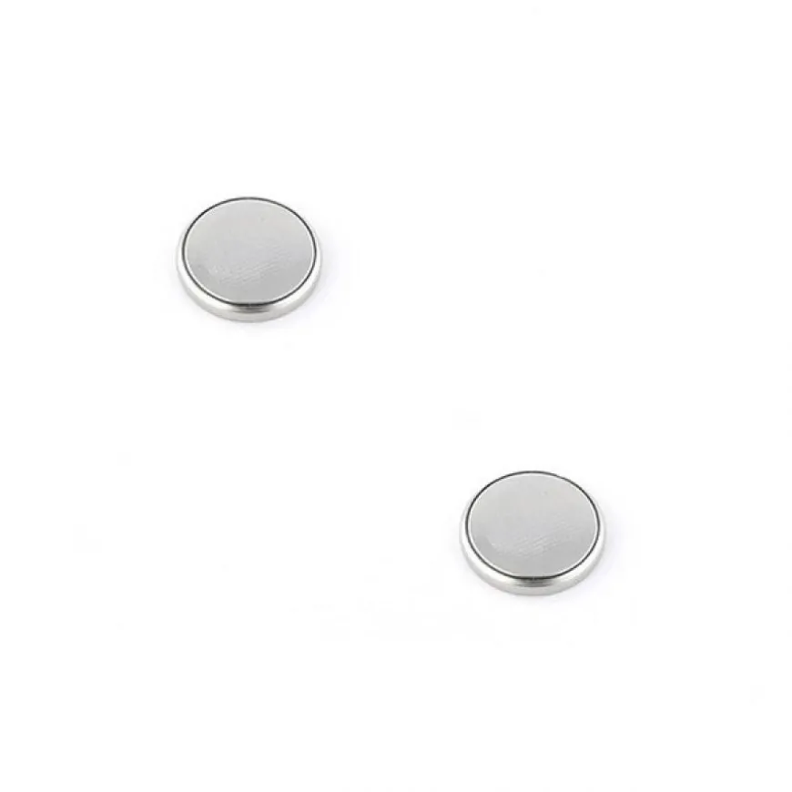 Pack de 2 Piles de montre CR1216 3 V lithium