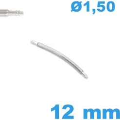 1 Springbar 12mm incurvée