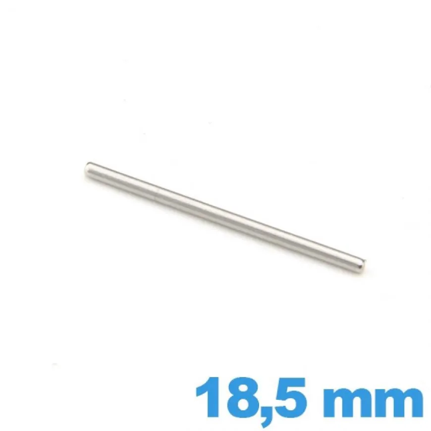 Tige droite montre diamètre 1.0 mm Longueur : 18.5 mm