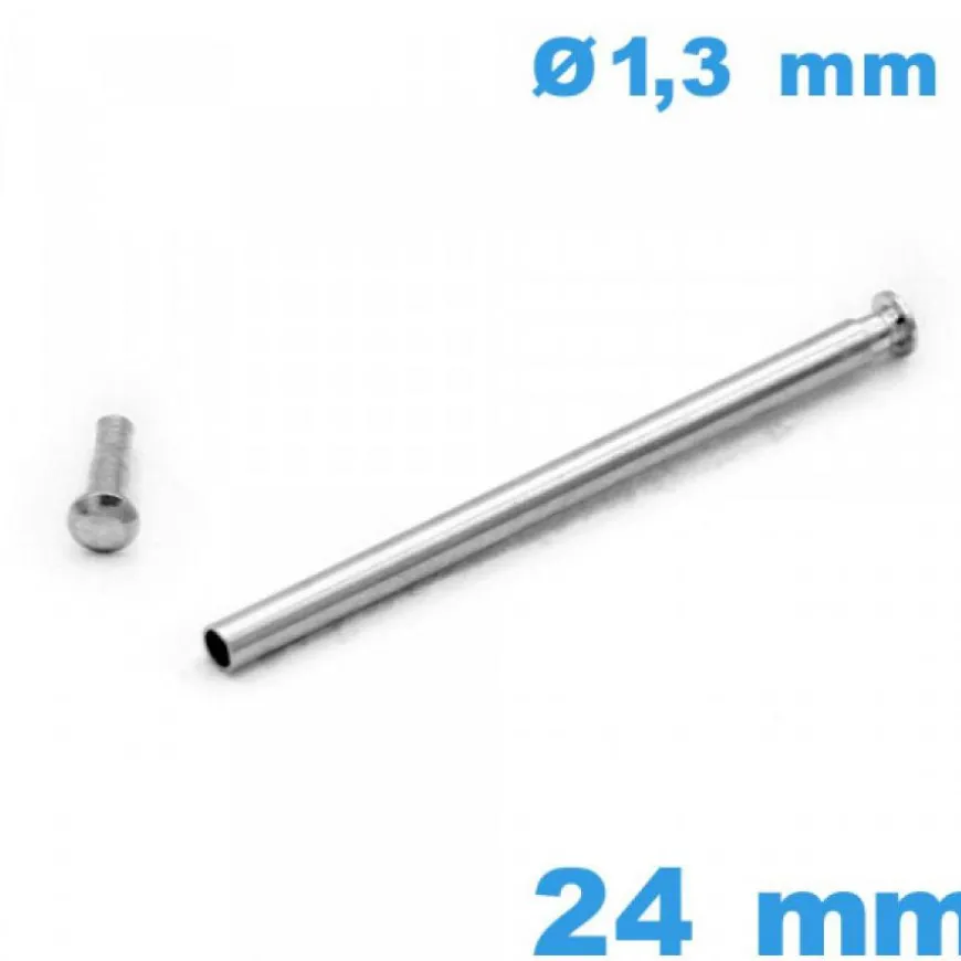 Tige pour Fermoir de Montre avec Capuchon Pression 24 mm Argenté